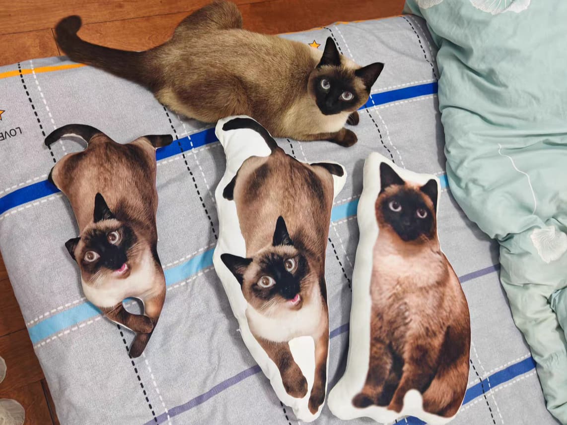 5 Steps to Custom Stuffed Animals of Your Pet Cheap – Myminipets