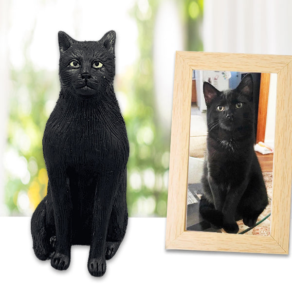 Personalized Black Cat Cake Topper from picture