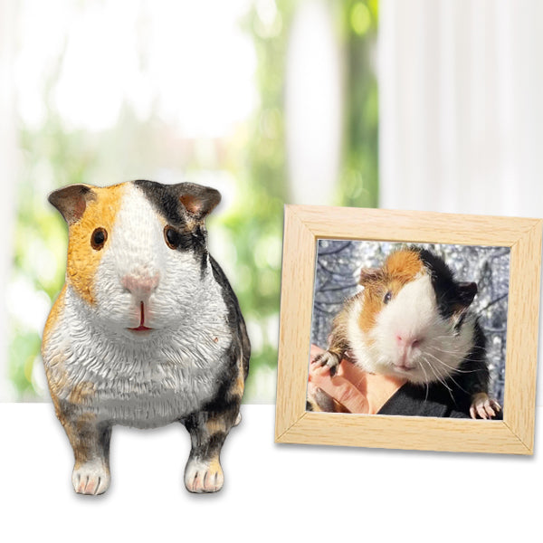 Overview of Myminipets Custom Pet Bobbleheads