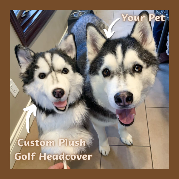 Product Spotlight: Myminipets Custom Dog Golf Covers