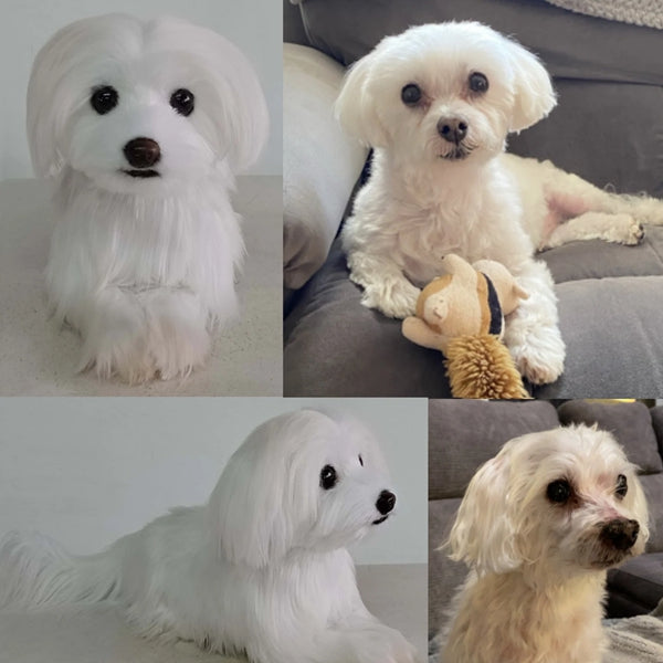 1.1 Emotional and Psychological Benefits