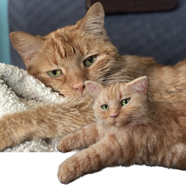 Myminipets Company Spotlight