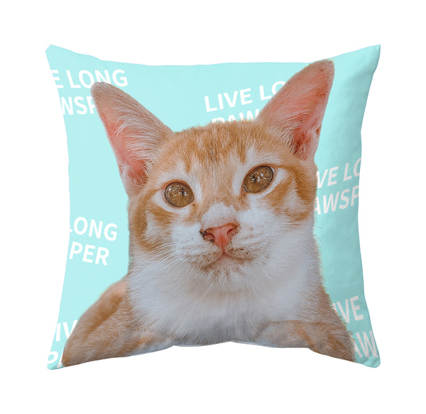 Personalized Cat Square Pillow