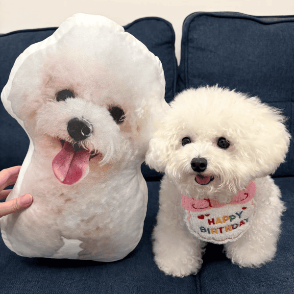Custom Dog Pillows from Photo