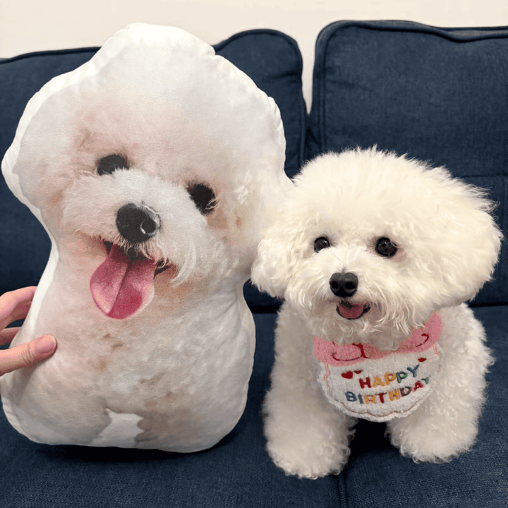 Custom Dog Pillows from Photo