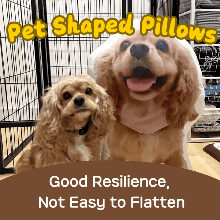 Custom Dog Pillow