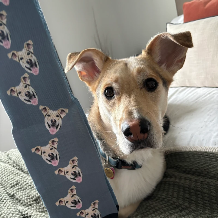 Custom Dog Face Socks from Photo