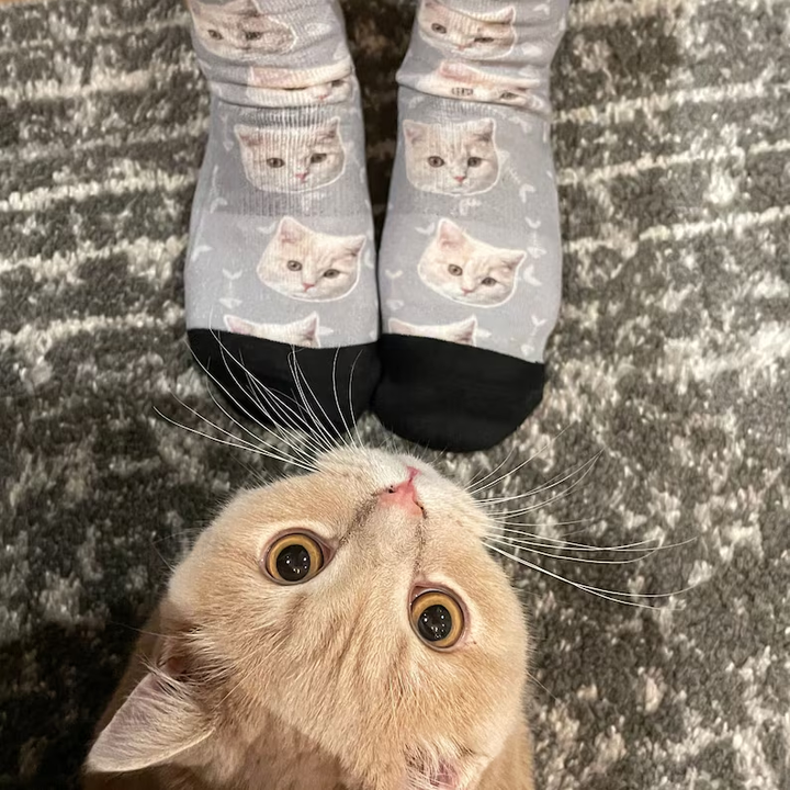 Custom Cat Face Socks