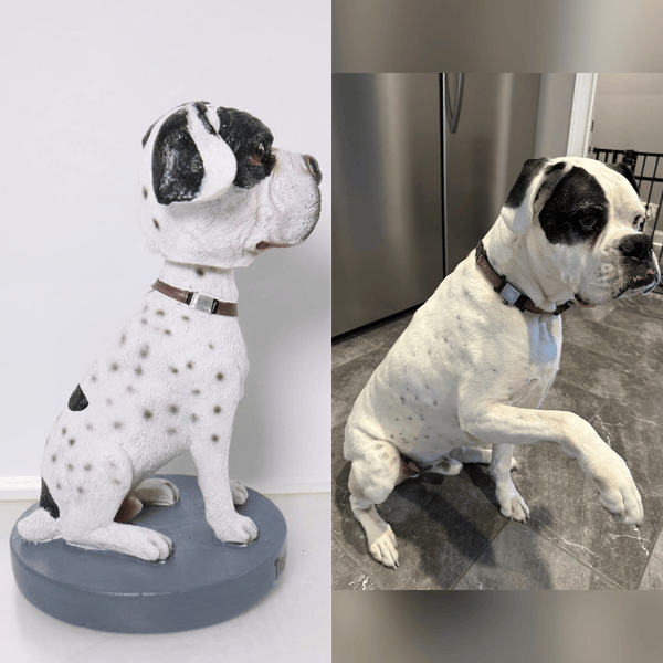 1. Custom Dog Bobblehead from Photo