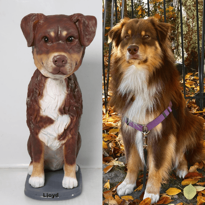 The front of the custom Australian Shepherd bobblehead