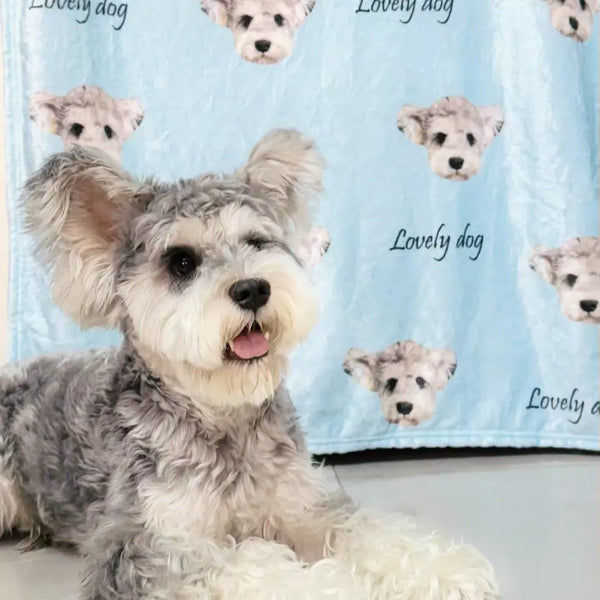 Custom pet blanket