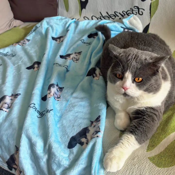 Custom pet blanket