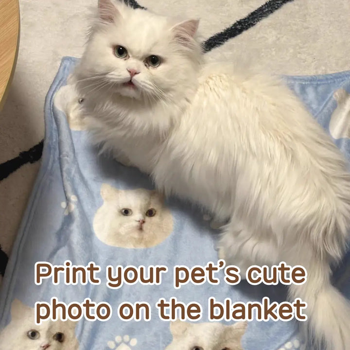 Custom pet blanket