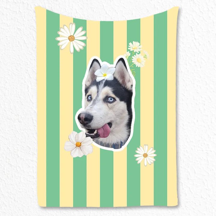 Personalized pet blanket