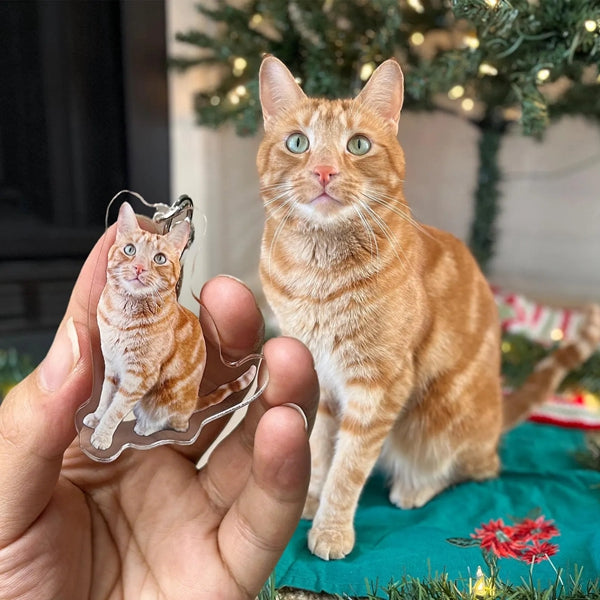 Personalized Cat Keychain with orange cat