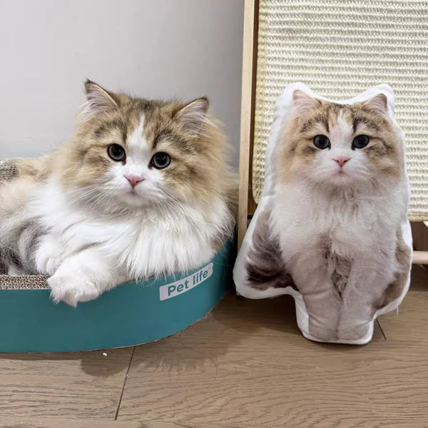Custom Cat Pillow from Photo