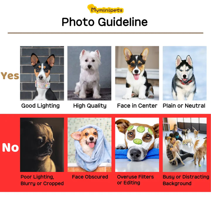 Custom pet pillow from photo | myminipets