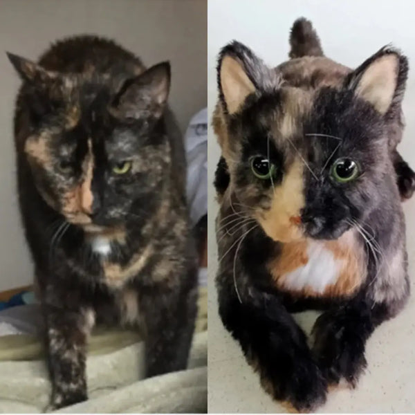 2. Custom Stuffed Cat Replica Plush